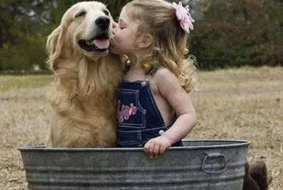 - amigos para sempre