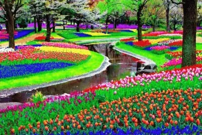 garden