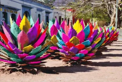 Mezal Mexico