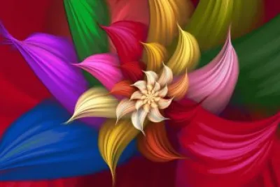 Beautiful-HD Flower