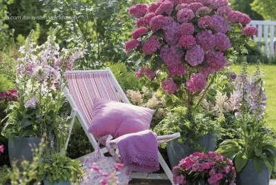 jardim