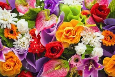 Meaning of Flowers