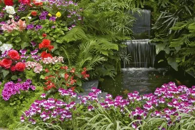 Gorgeous Lush Garden