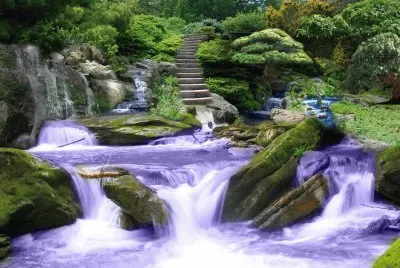Zen Garden with Purple Rushing Water