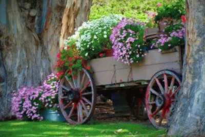 jardim jigsaw puzzle