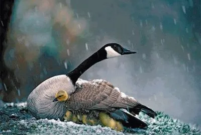 - momento mÃ£e!!