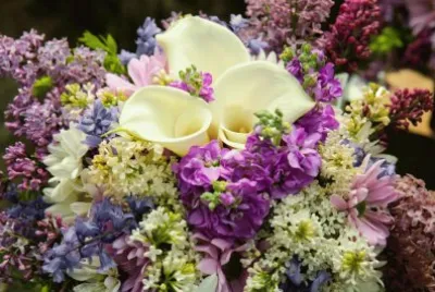 Flors