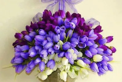 bouquet de tulipes