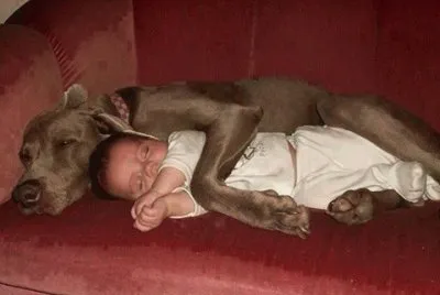 - cuidando do bebÃª