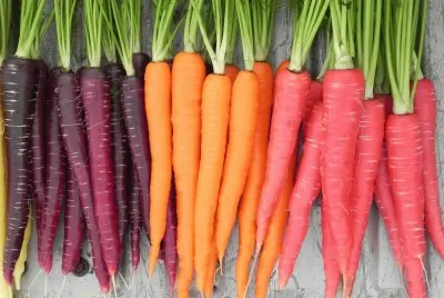 colors