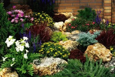 JardÃ¬