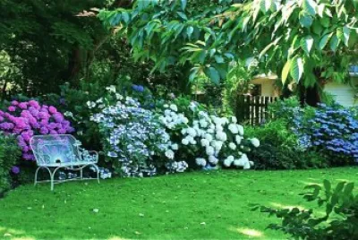 Hortensia House Garden-New Zealand