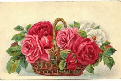 Vintage Postcard Roses