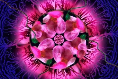 Mandala