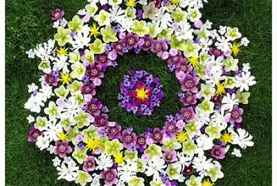 Color Rangolis