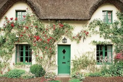 Rambling Roses Perthshire Scotland