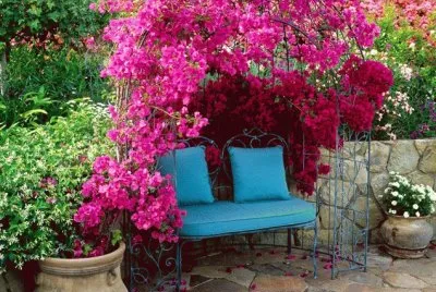 Romantic Pink