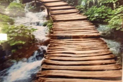 Bridge