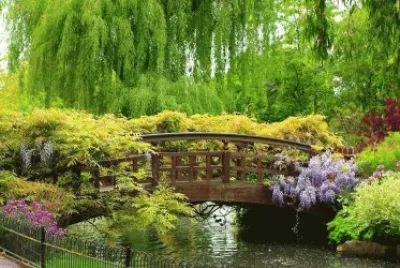 jardin jigsaw puzzle
