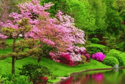 nature jigsaw puzzle
