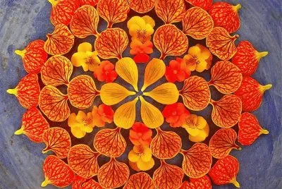 Flower Petal Mandala