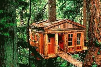 NÂº 365 jigsaw puzzle