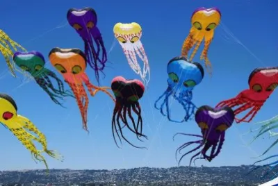 Berkeley Kite Festival