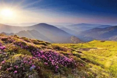 - beleza!. jigsaw puzzle