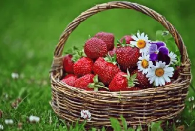 Basket with Strawberry 's