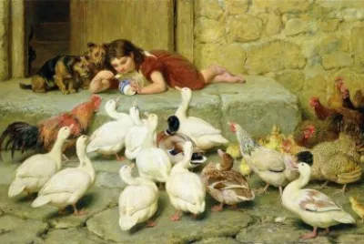 animais