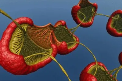 פאזל של Strange Fruit