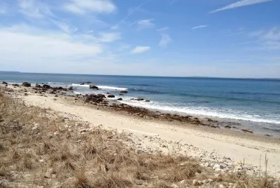 Martha 's Vineyard