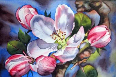 Color Bloom