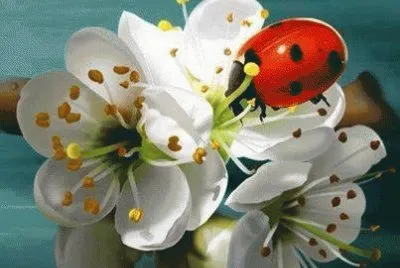 MARIQUITA