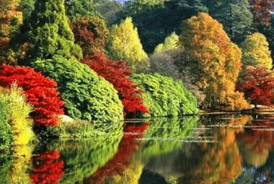 summer 46 jigsaw puzzle