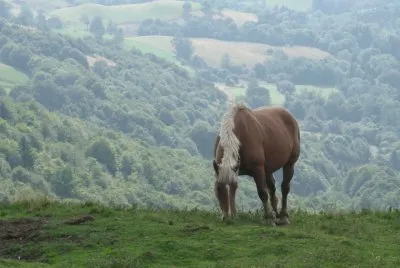 cheval