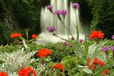 פאזל של cachoeira