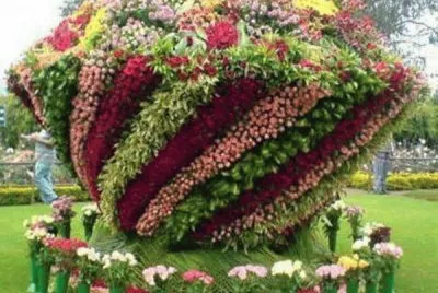 פאזל של jardim