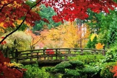 jardim
