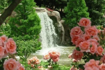 פאזל של jardim