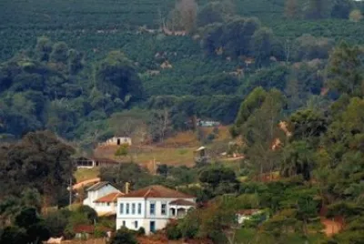 - fazenda de cafÃ© em Botelhos M.G