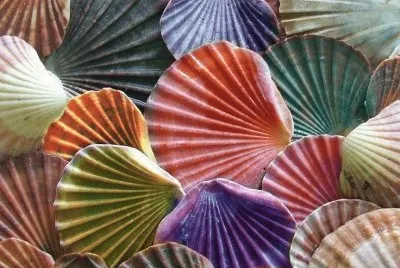 Colored Shells