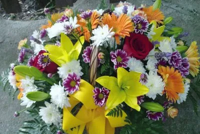 Flors