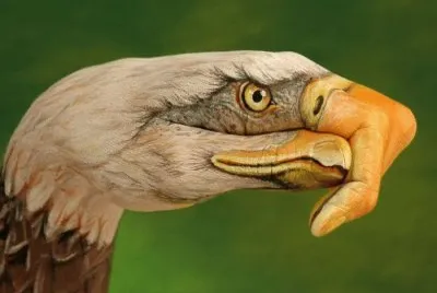 MANO AGUILA