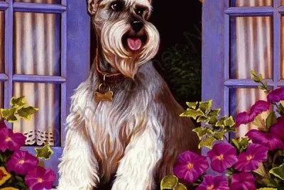 cÃ£o