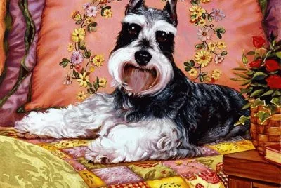 cÃ£o