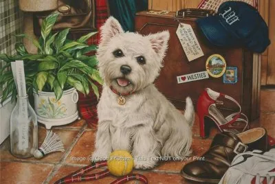 cÃ£o