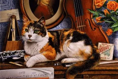 gato