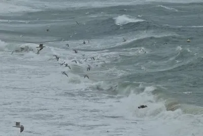 sternes dans la tempÃªte
