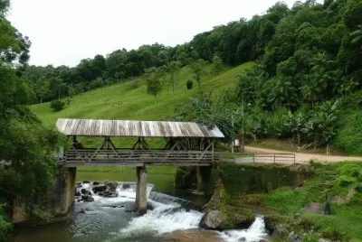 Mais da natureza